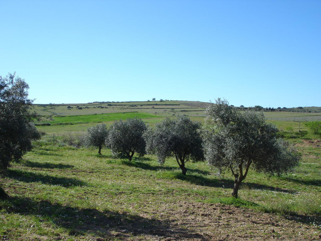 كامبو مايور Horta Do Muro المظهر الخارجي الصورة